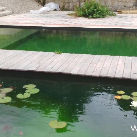 Gite Les Cabanes De Fallot Pour 15 Personnes - Piscine Naturelle L'isle-Bouzon Zewnętrze zdjęcie
