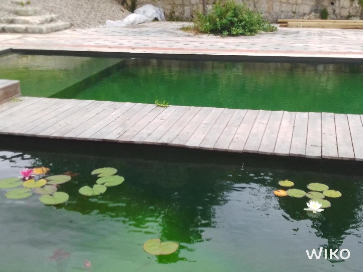 Gite Les Cabanes De Fallot Pour 15 Personnes - Piscine Naturelle L'isle-Bouzon Zewnętrze zdjęcie