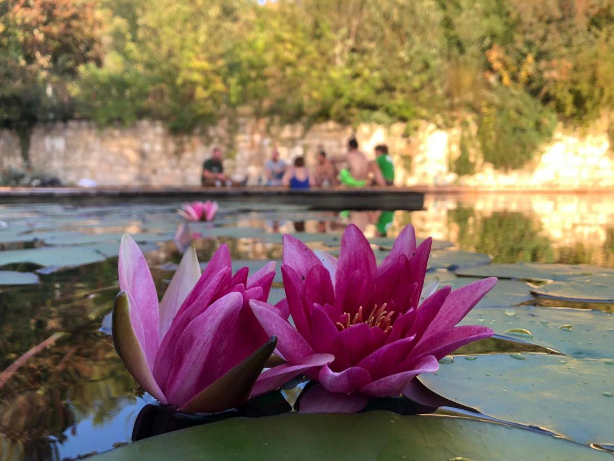 Gite Les Cabanes De Fallot Pour 15 Personnes - Piscine Naturelle L'isle-Bouzon Zewnętrze zdjęcie
