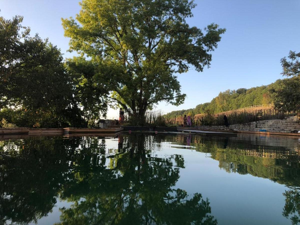 Gite Les Cabanes De Fallot Pour 15 Personnes - Piscine Naturelle L'isle-Bouzon Zewnętrze zdjęcie